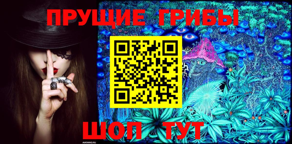 Псилоцибиновые грибы ЛСД Тутаев